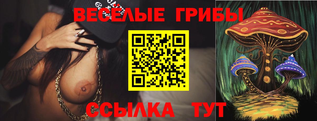 Галлюциногенные грибы прущие грибы  Вход с VPN  купить наркотики сайты  Ивантеевка 